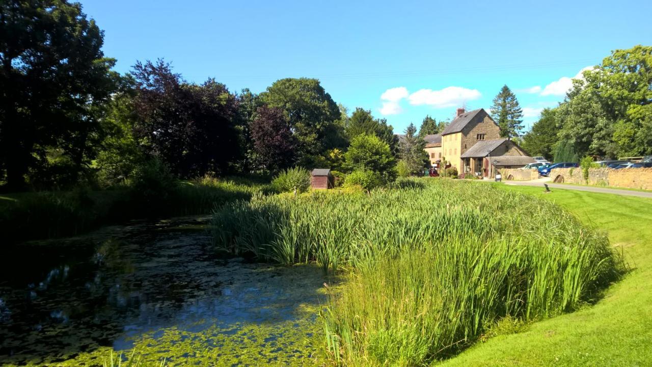 Hotel Haselbury Mill à Crewkerne Extérieur photo